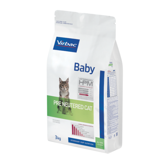 CAT BABY PRE NEURETED
